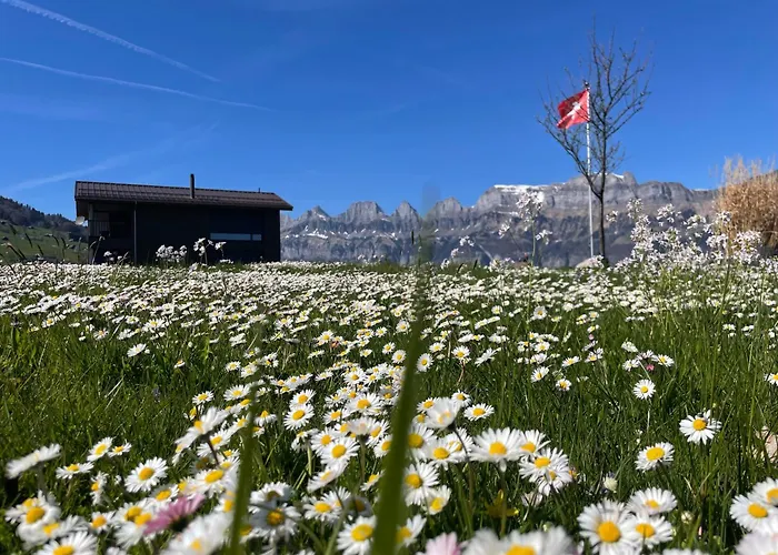 Panoramawohnung In 2-fam-haus - Nichtraucher, Keine Haustiere Lägenhet *